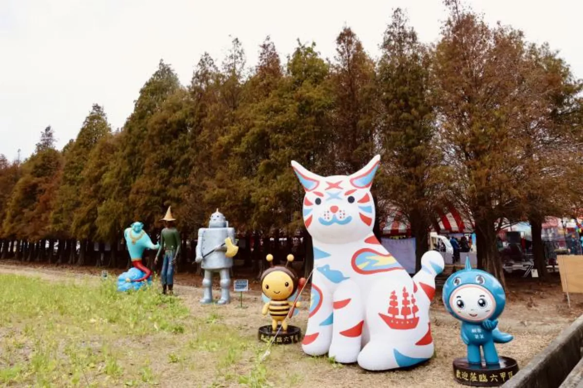 嫣紅落羽松季登場 南市邀大眾稻陣來六甲